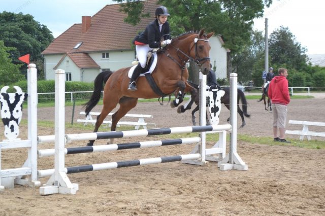 reitertag 2013 94